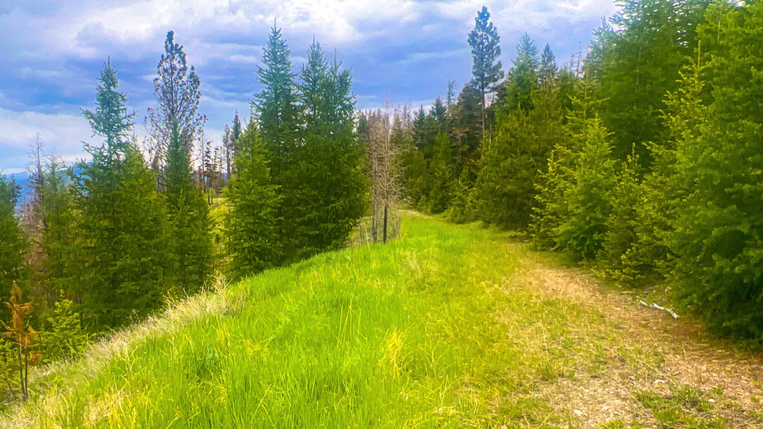 Nhn Pats Knob Hunting Ranch Property Photo 32