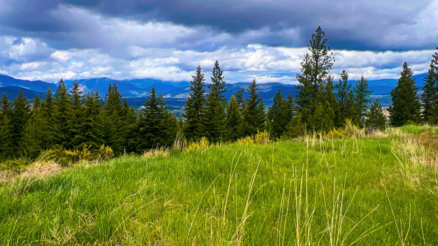 Nhn Pats Knob Hunting Ranch Property Photo 35