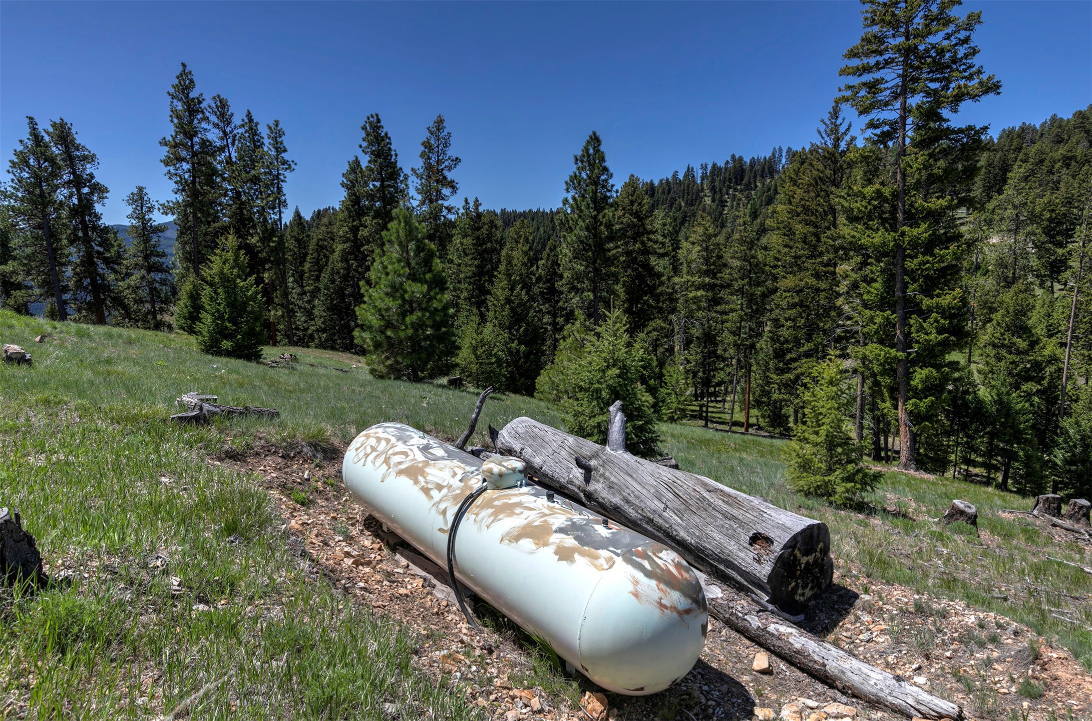966 Forest Service Road Property Photo 49