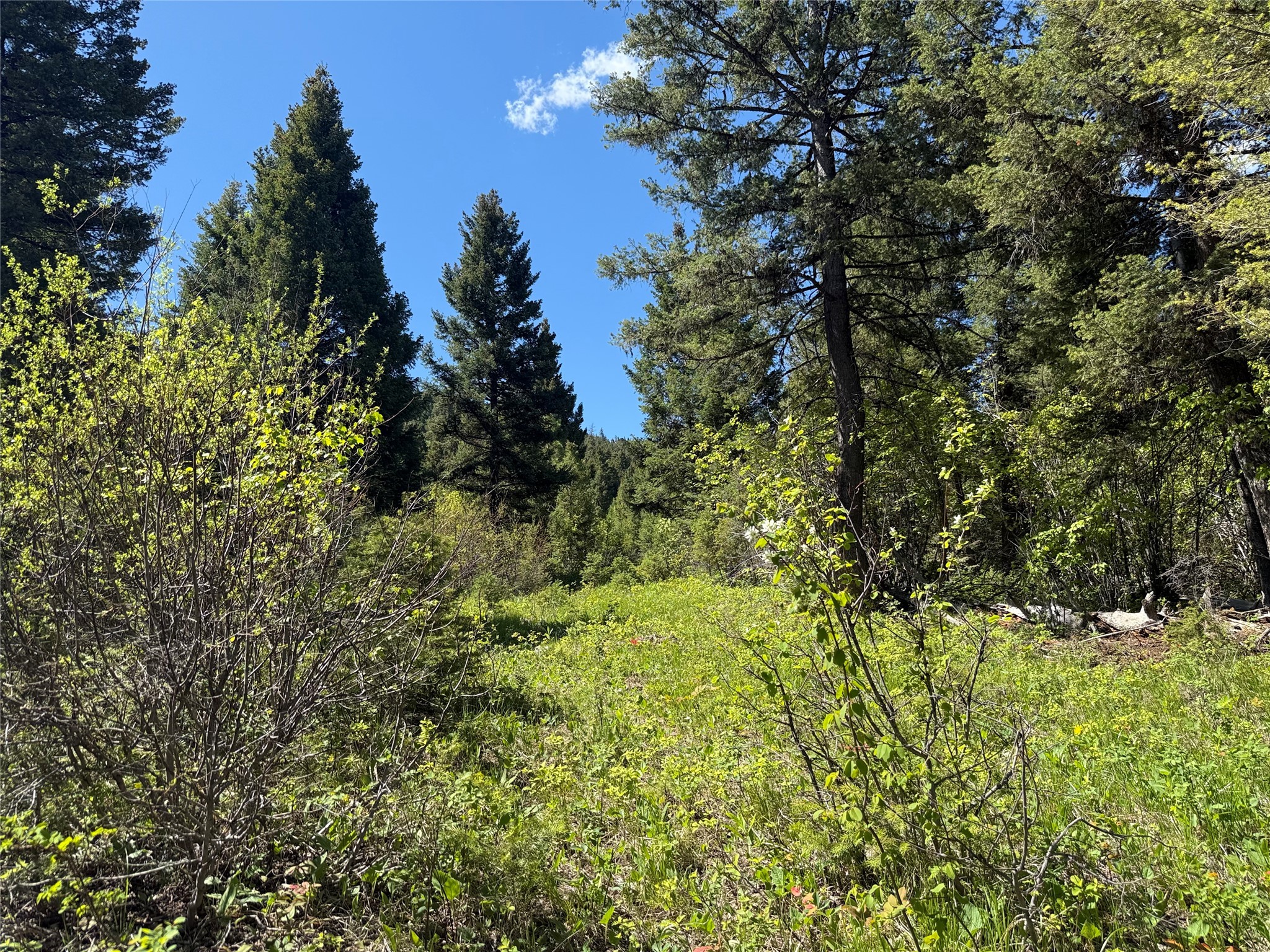 Nhn Camas Springs Road Property Photo 1
