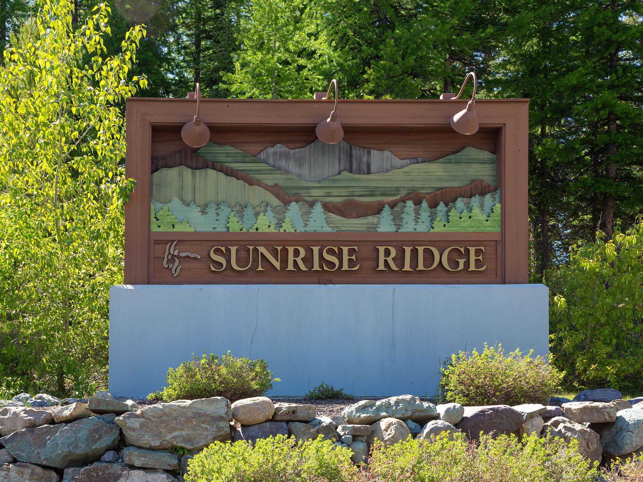 213 Ridge Run Court Property Photo 2