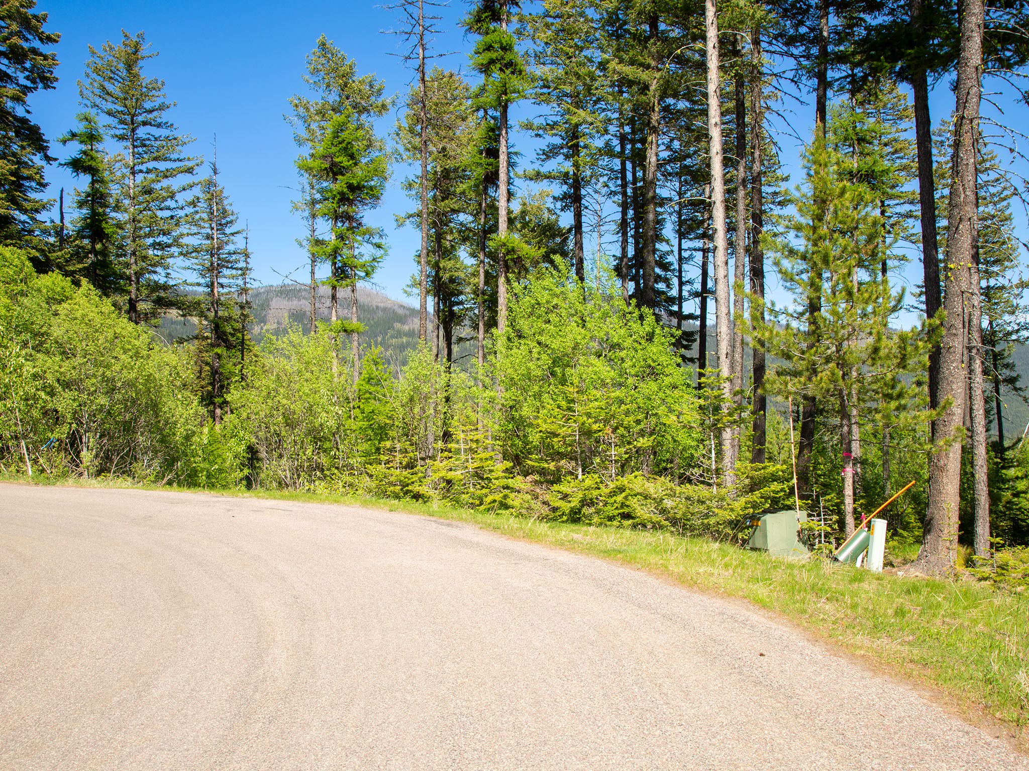 213 Ridge Run Court Property Photo 3