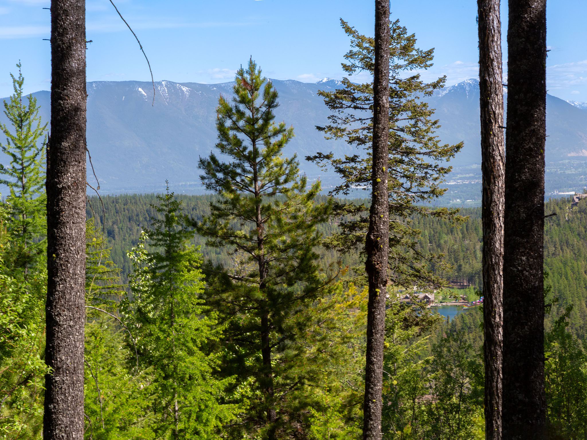 213 Ridge Run Court Property Photo 9