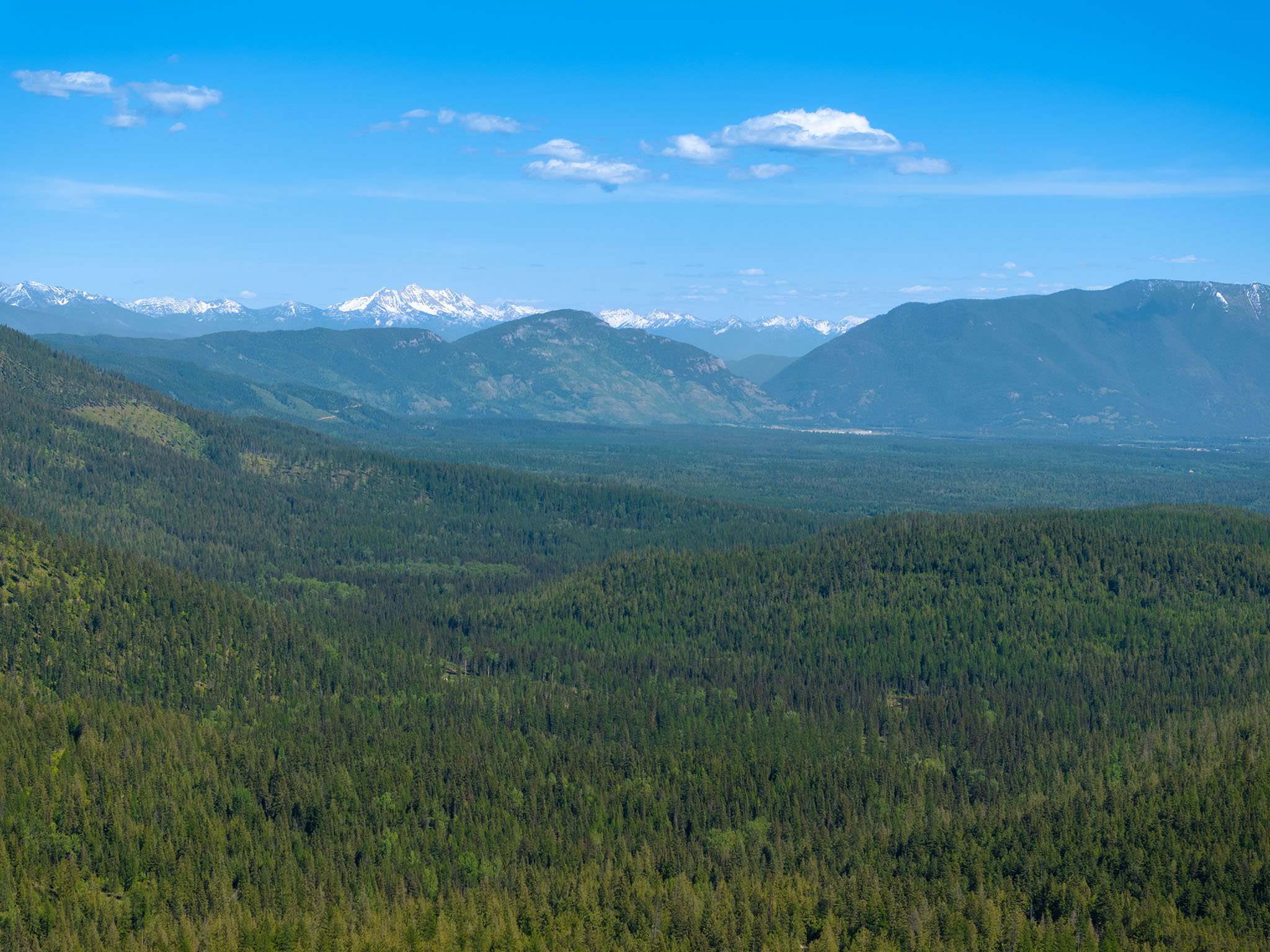 213 Ridge Run Court Property Photo 15