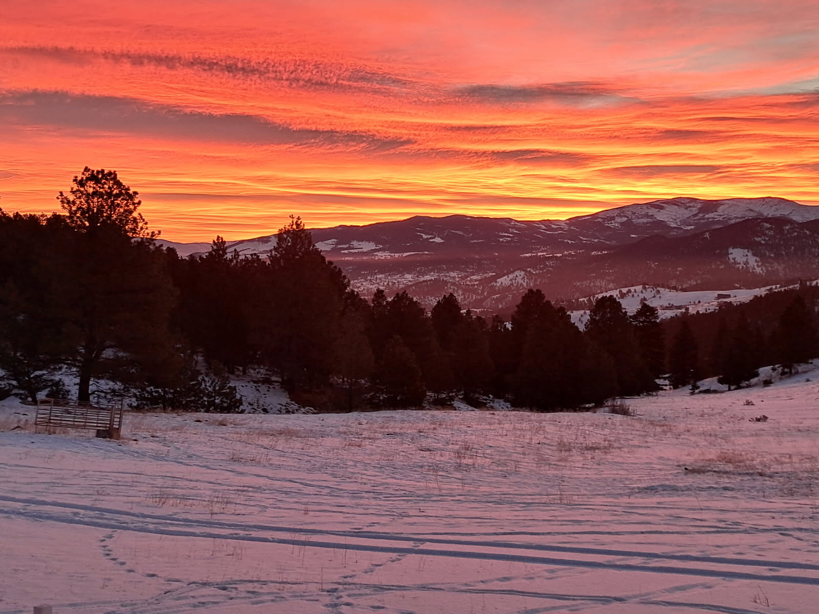 Tbd Fiddlers Green Property Photo 18