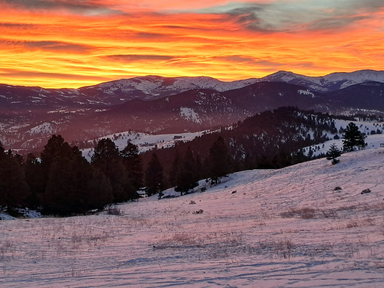 Tbd Fiddlers Green Property Photo 19