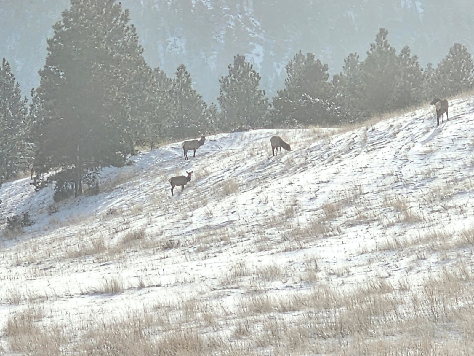 Tbd Fiddlers Green Property Photo 20