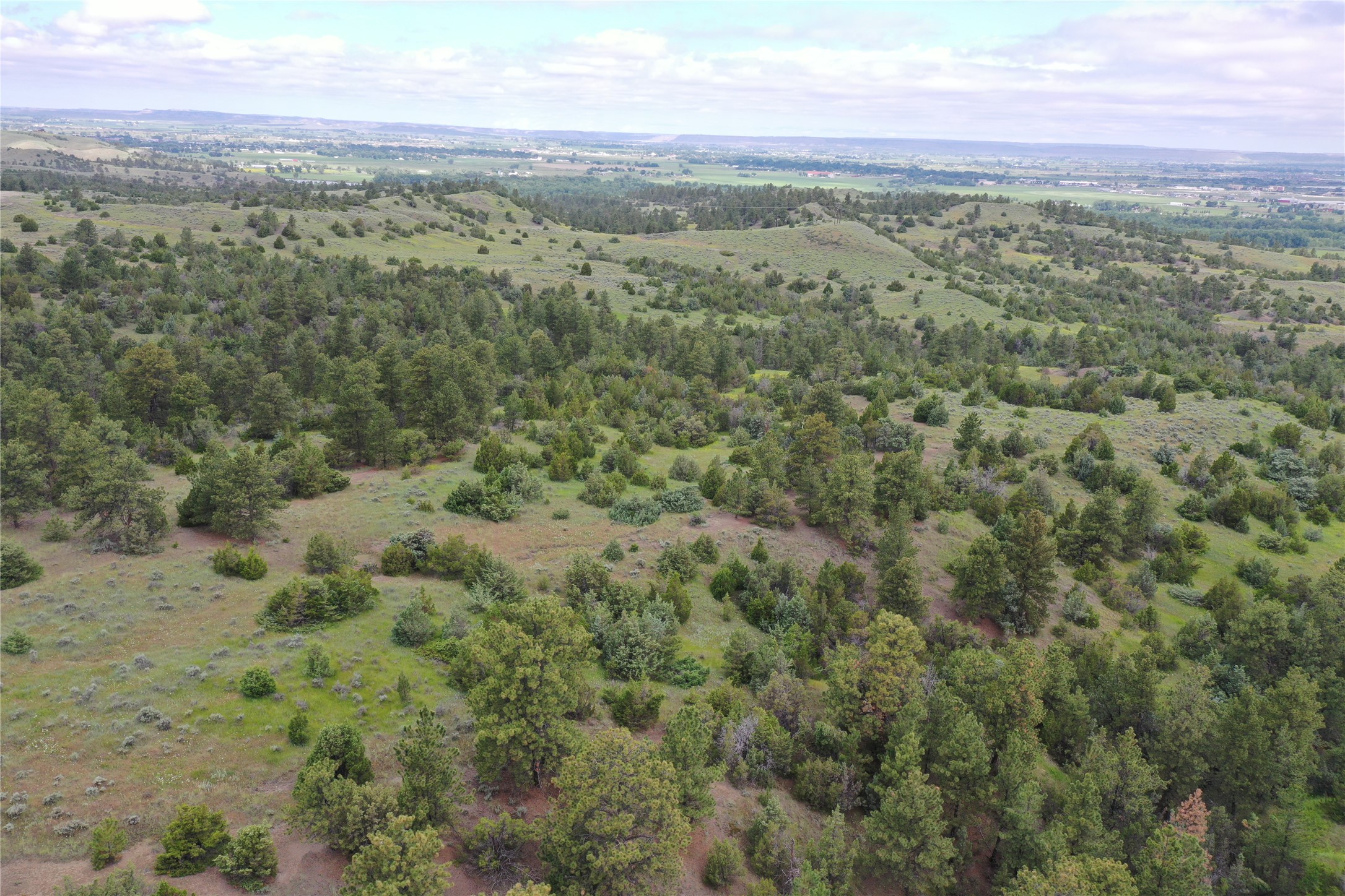 4 Lupine Road Property Photo 2