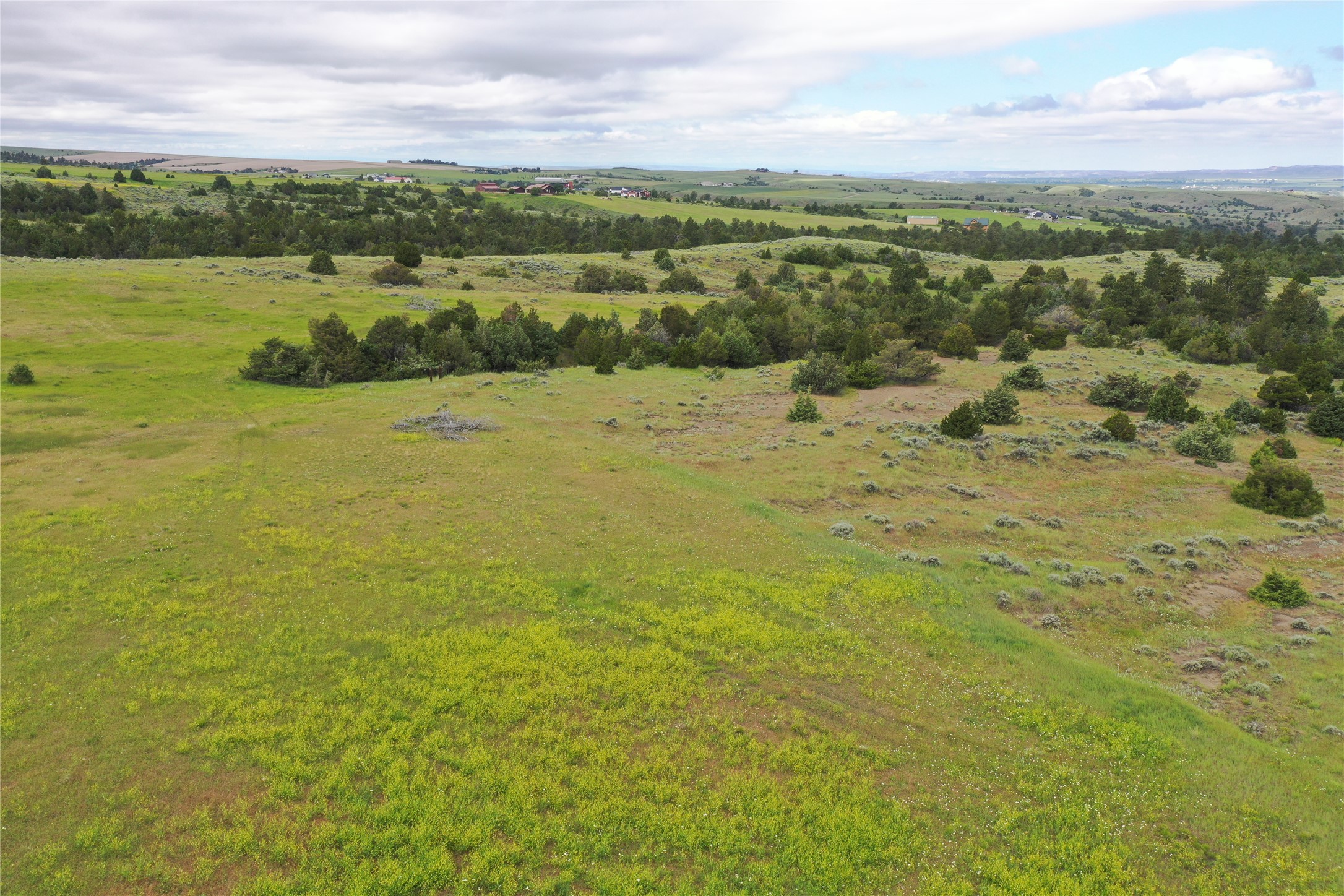 4 Lupine Road Property Photo 19