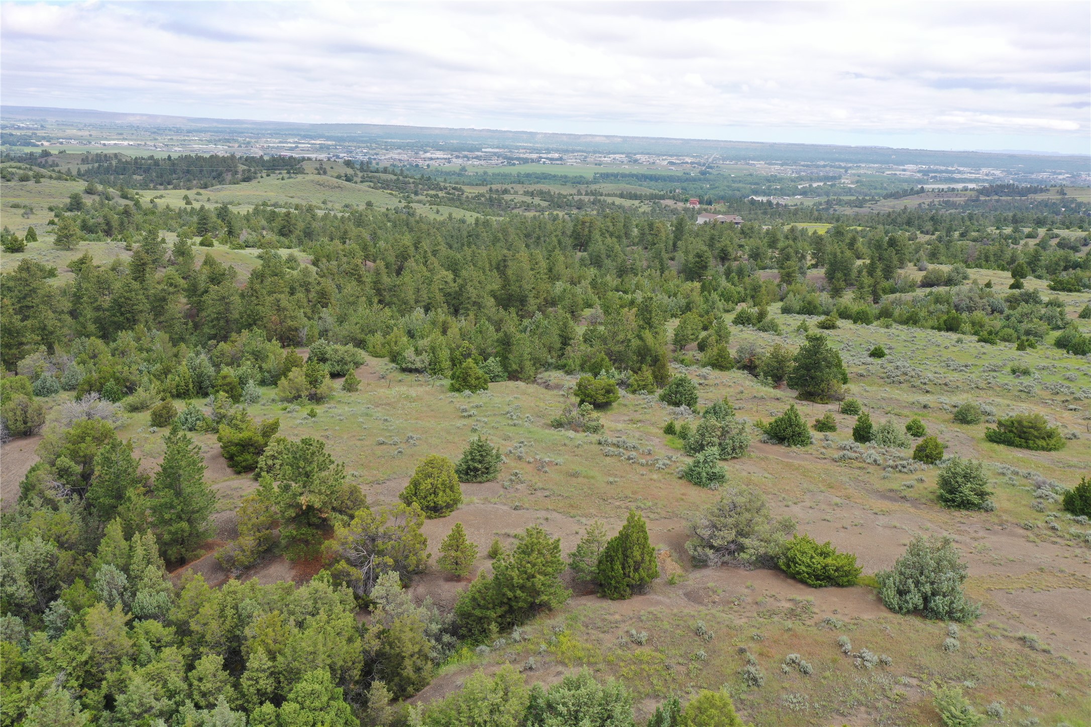 4 Lupine Road Property Photo 21