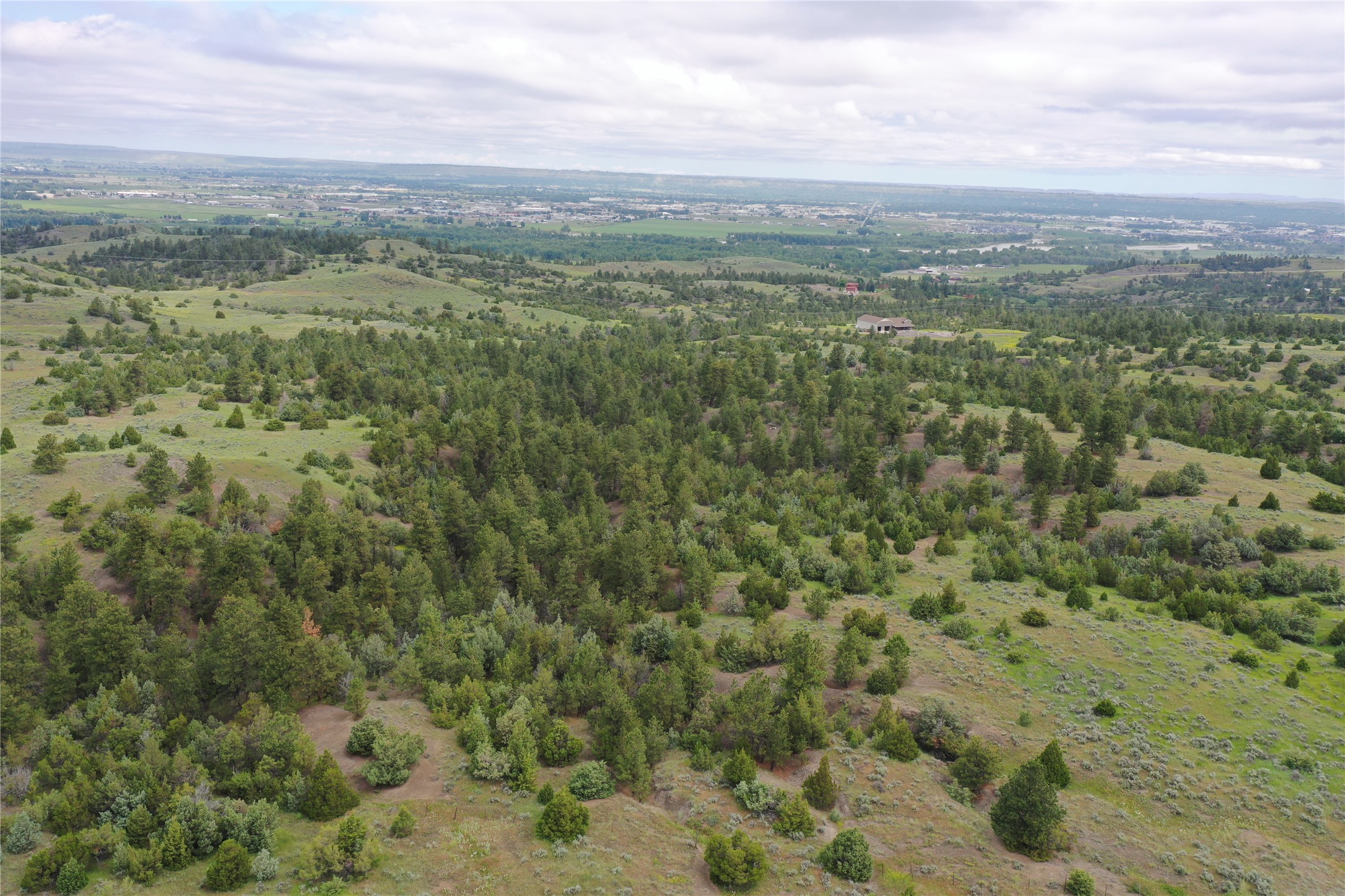 4 Lupine Road Property Photo 22