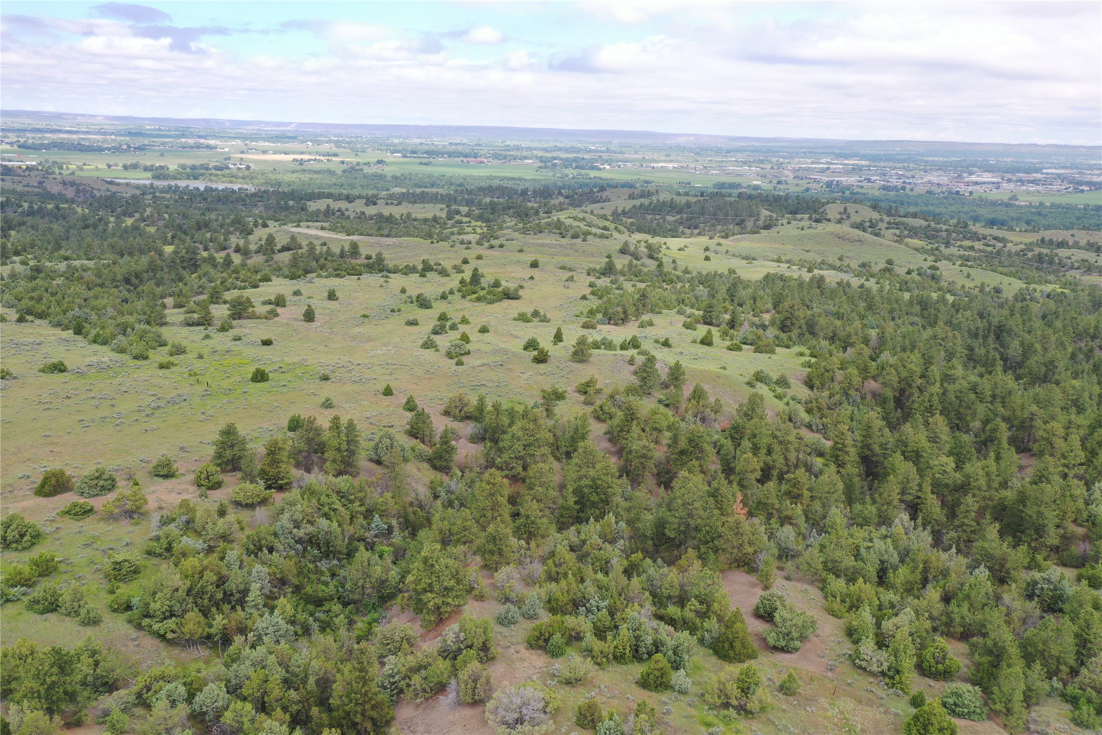 4 Lupine Road Property Photo 23