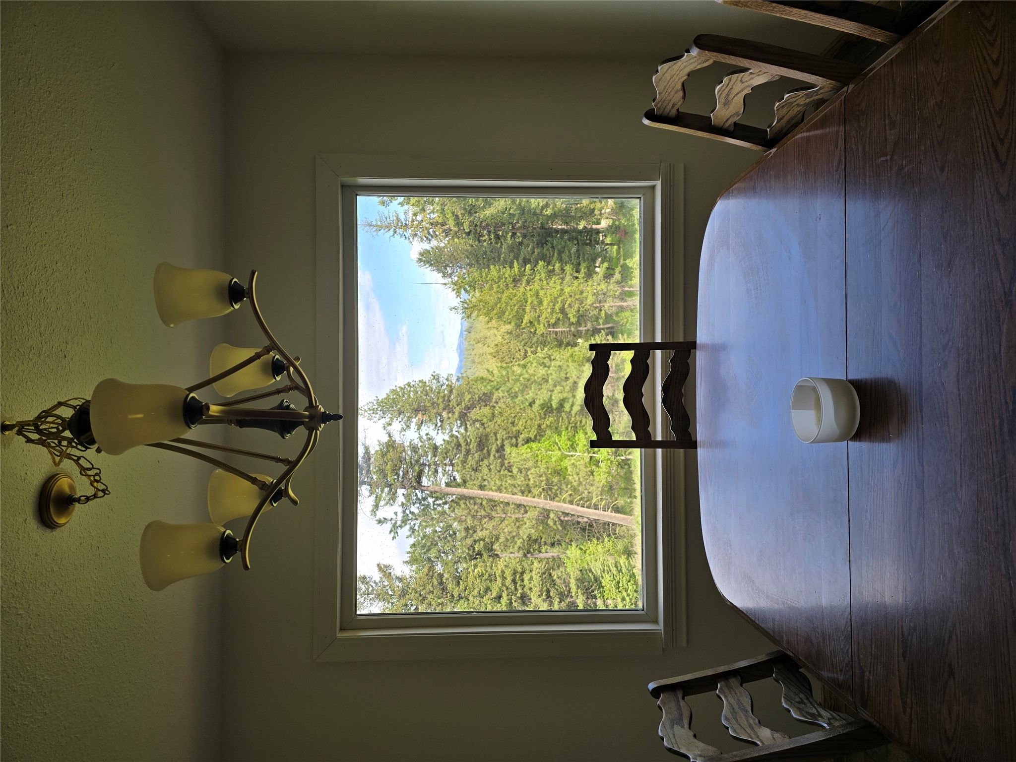 2528 Lincoln Springs Drive Property Photo 11