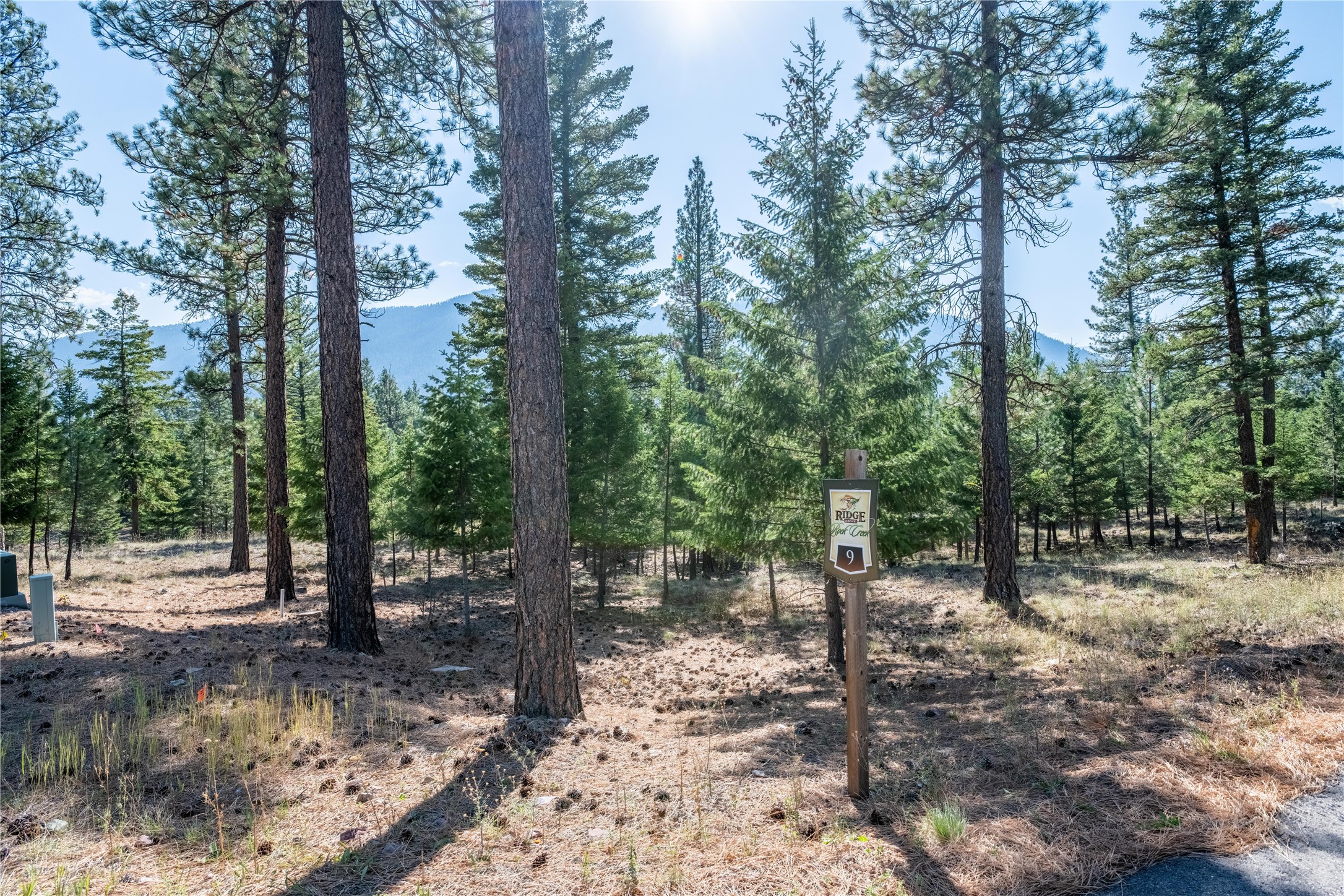 Lot 9 Stonefly Road Property Photo 1