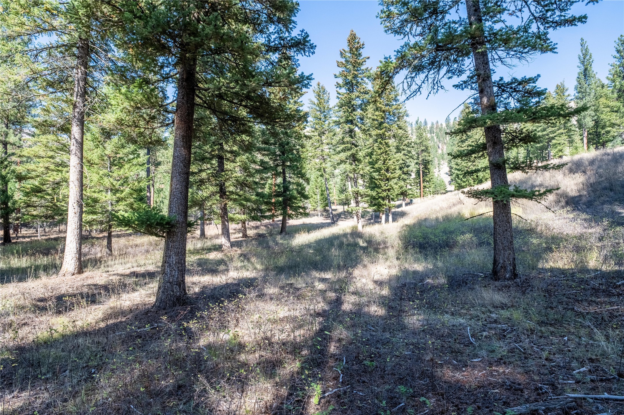 Lot 17 Caddisfly Court Property Photo 1