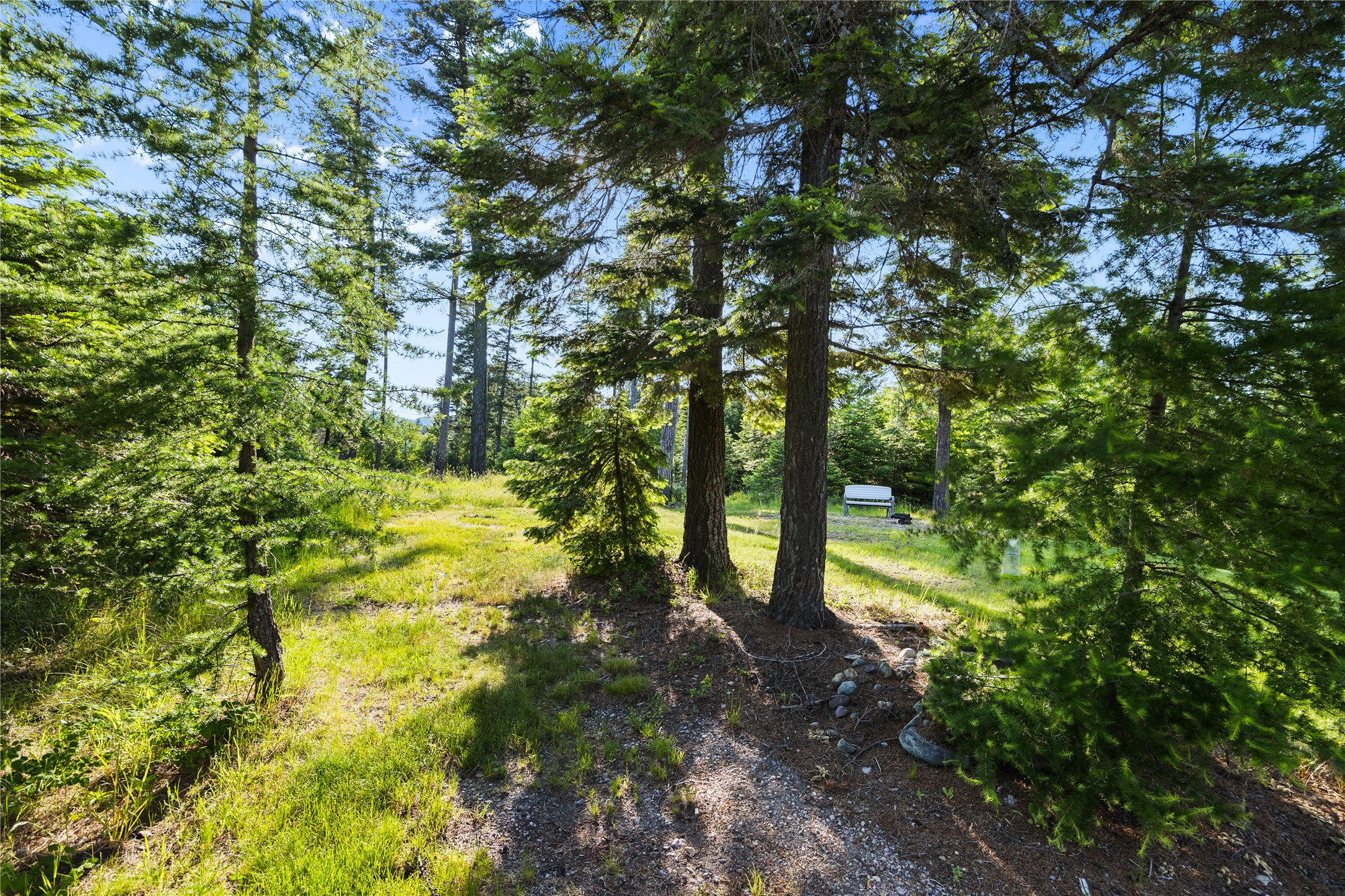 13471 Sundance Trail Property Photo 40