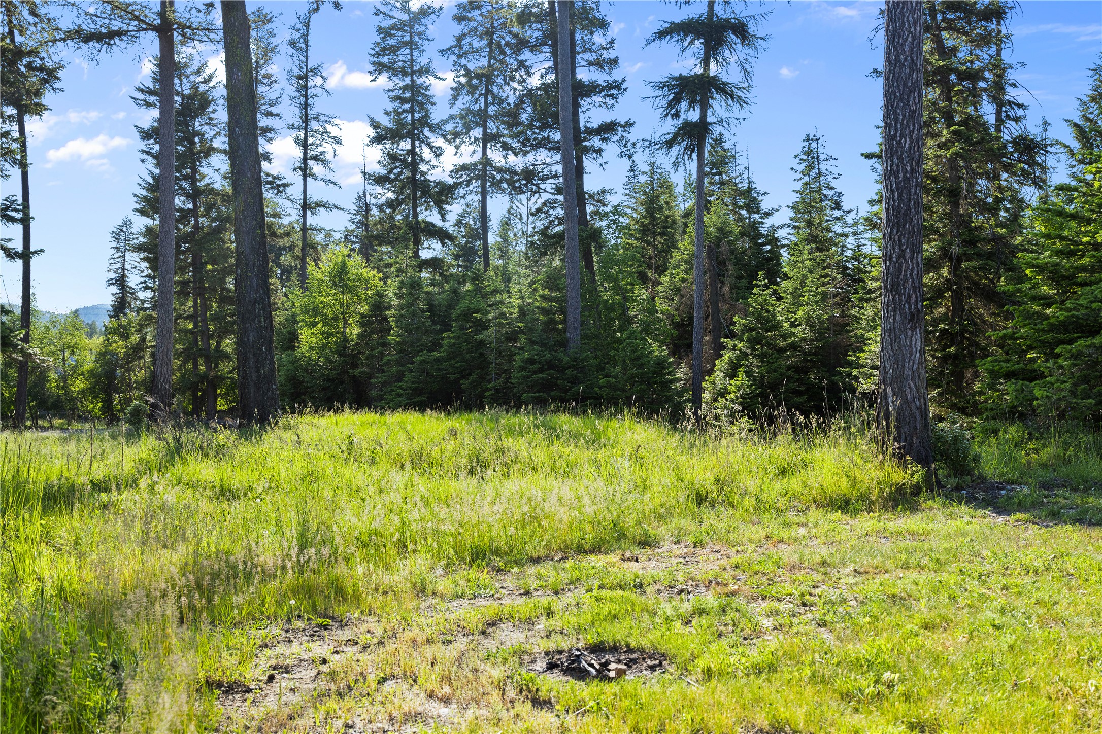 13471 Sundance Trail Property Photo 41