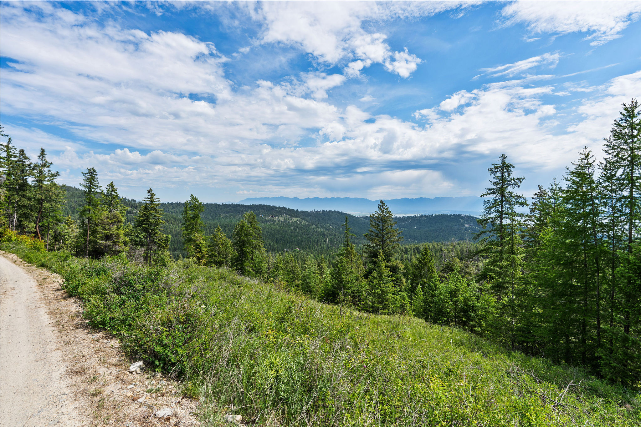 298 Lone Wolf Trail Property Photo 39