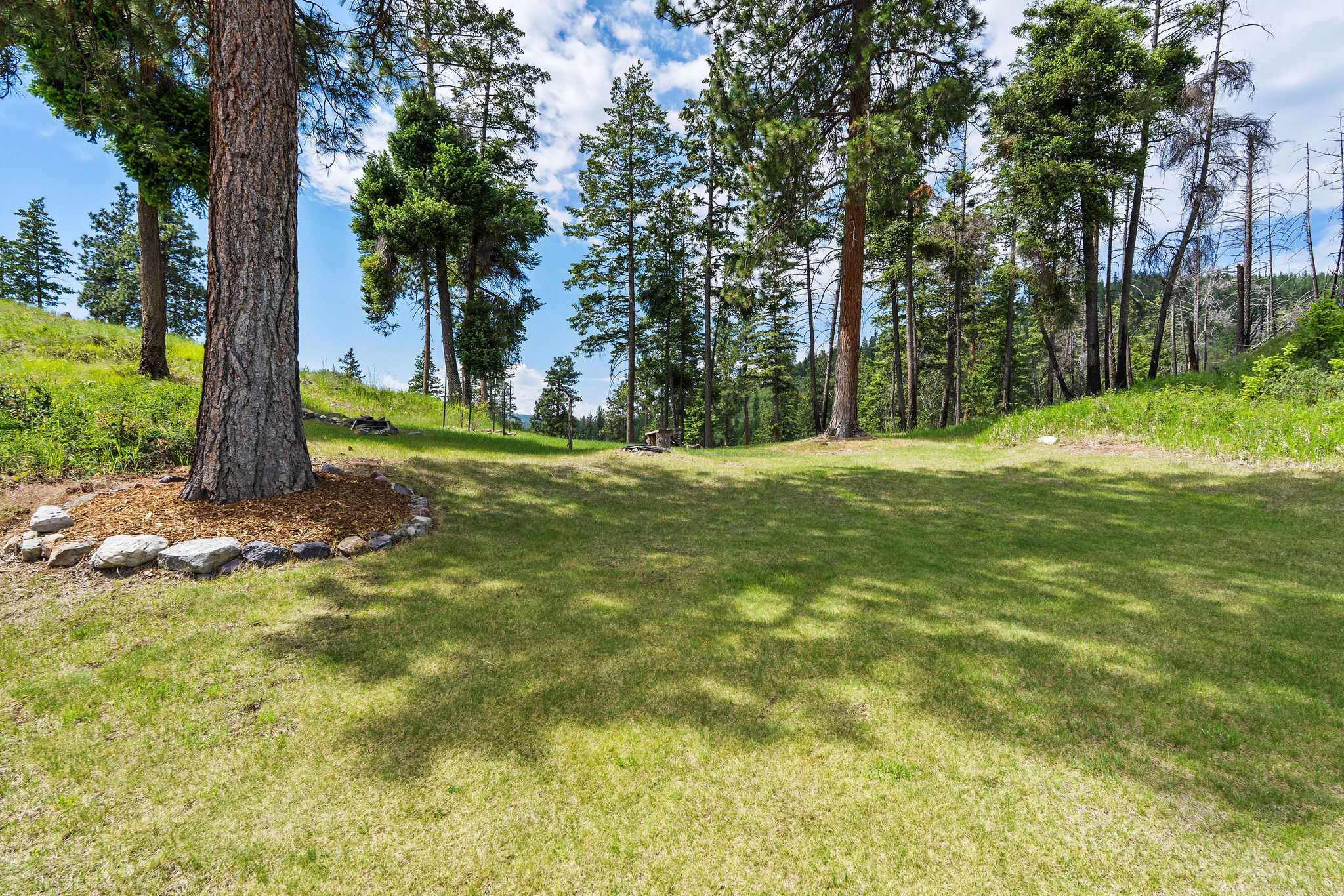 298 Lone Wolf Trail Property Photo 43