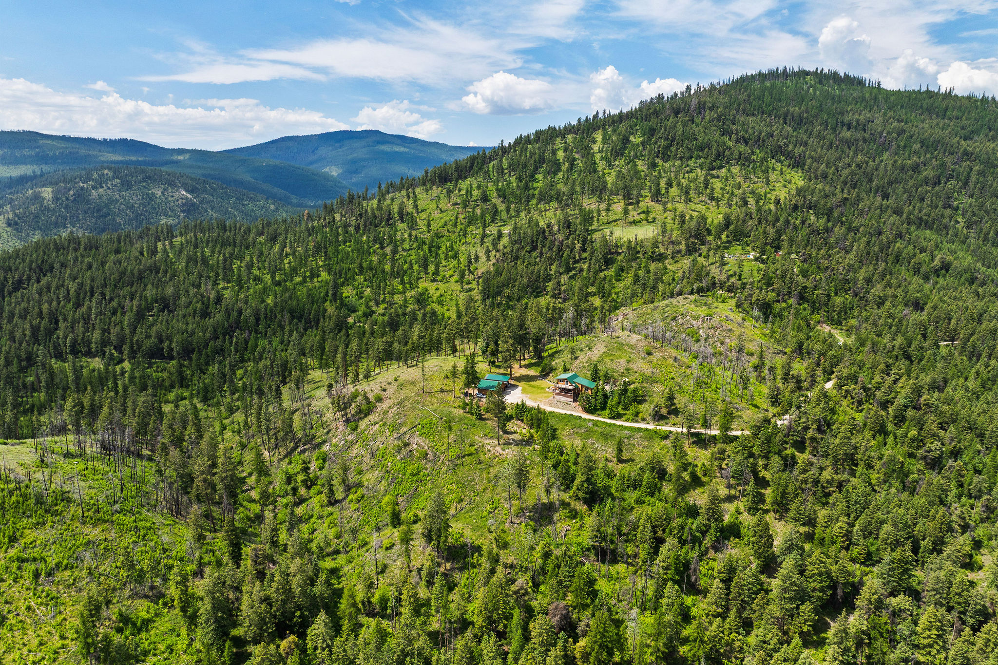 298 Lone Wolf Trail Property Photo 50