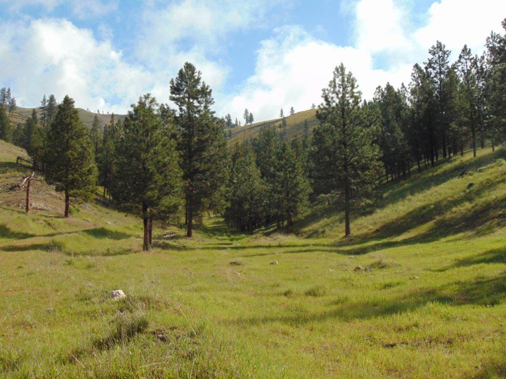 27235 Lazy Springs Road Property Photo 1