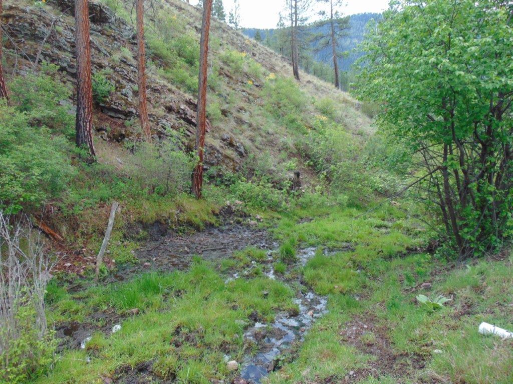 27235 Lazy Springs Road Property Photo 2