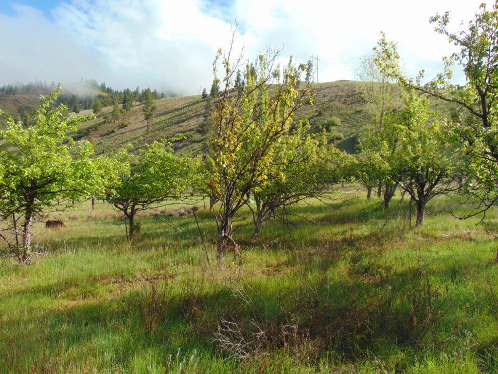27235 Lazy Springs Road Property Photo 3