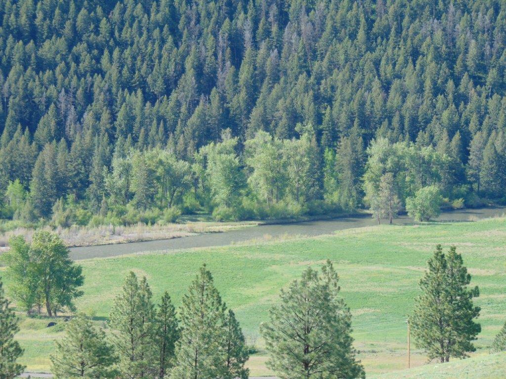 27235 Lazy Springs Road Property Photo 5