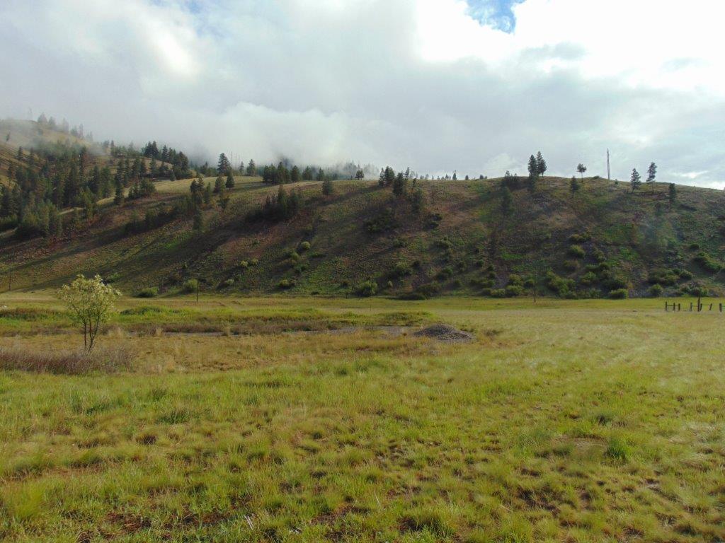 27235 Lazy Springs Road Property Photo 6