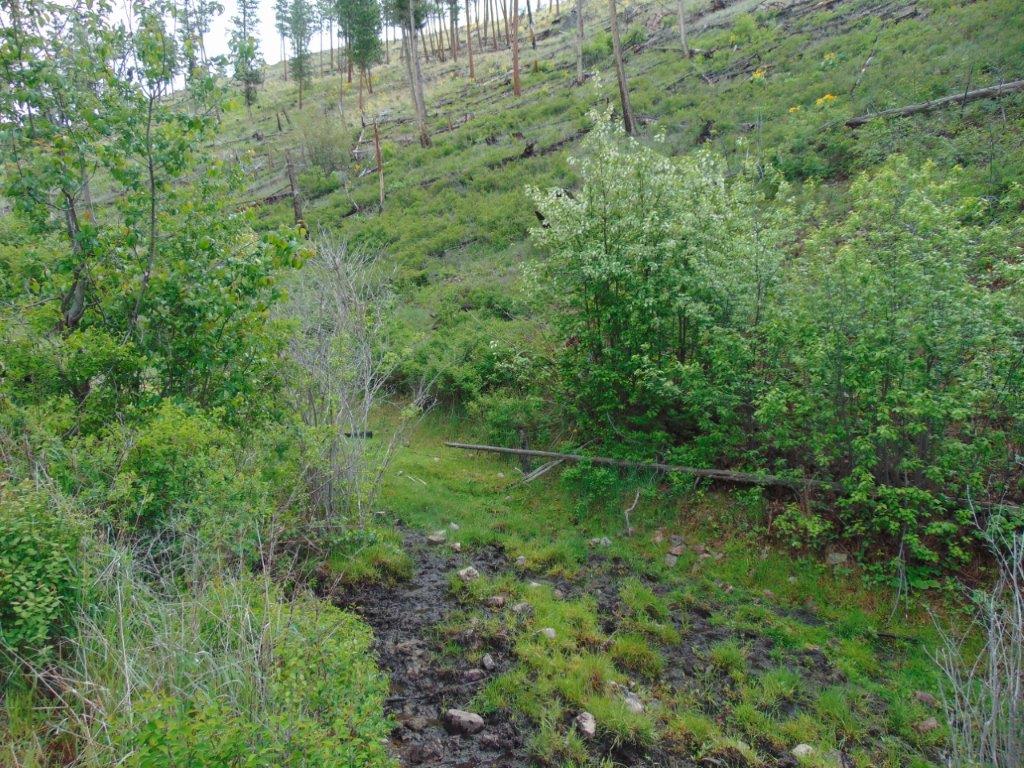 27235 Lazy Springs Road Property Photo 7