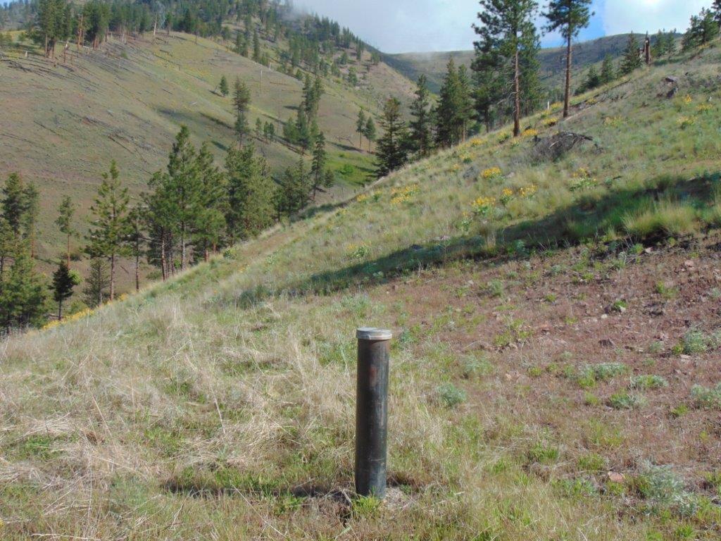 27235 Lazy Springs Road Property Photo 8