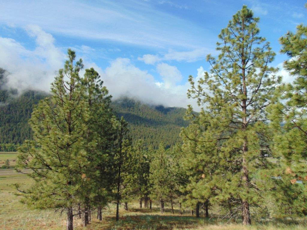 27235 Lazy Springs Road Property Photo 13