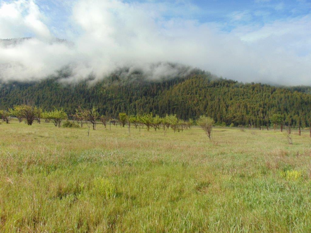27235 Lazy Springs Road Property Photo 14