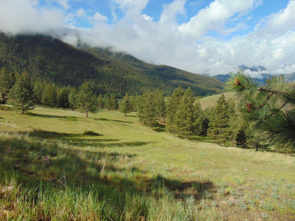 27235 Lazy Springs Road Property Photo 16