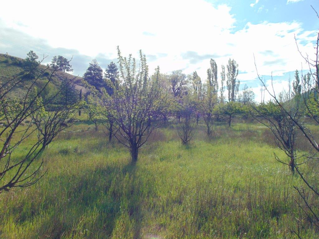 27235 Lazy Springs Road Property Photo 19