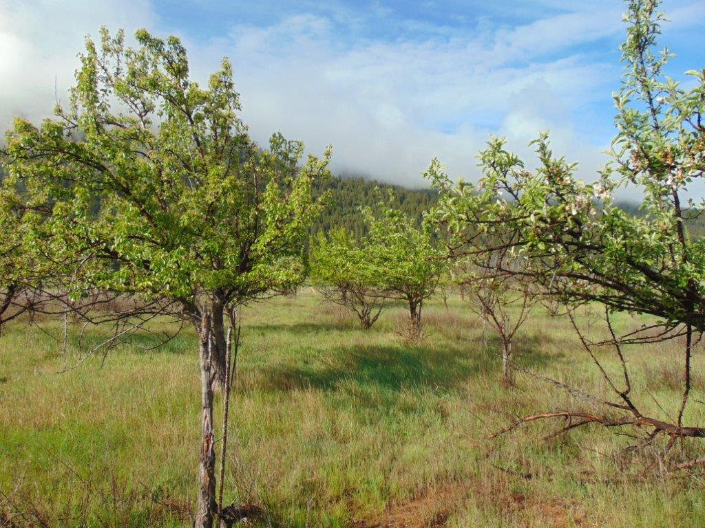 27235 Lazy Springs Road Property Photo 20
