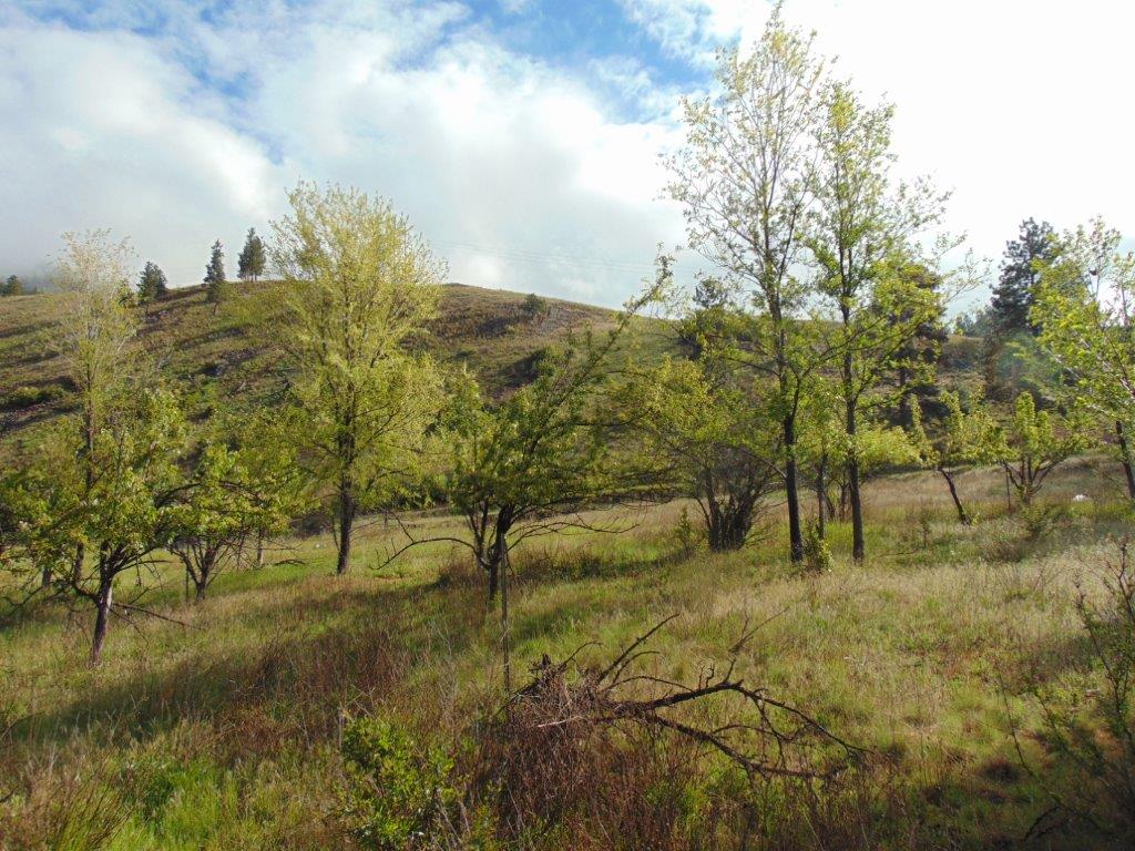 27235 Lazy Springs Road Property Photo 21