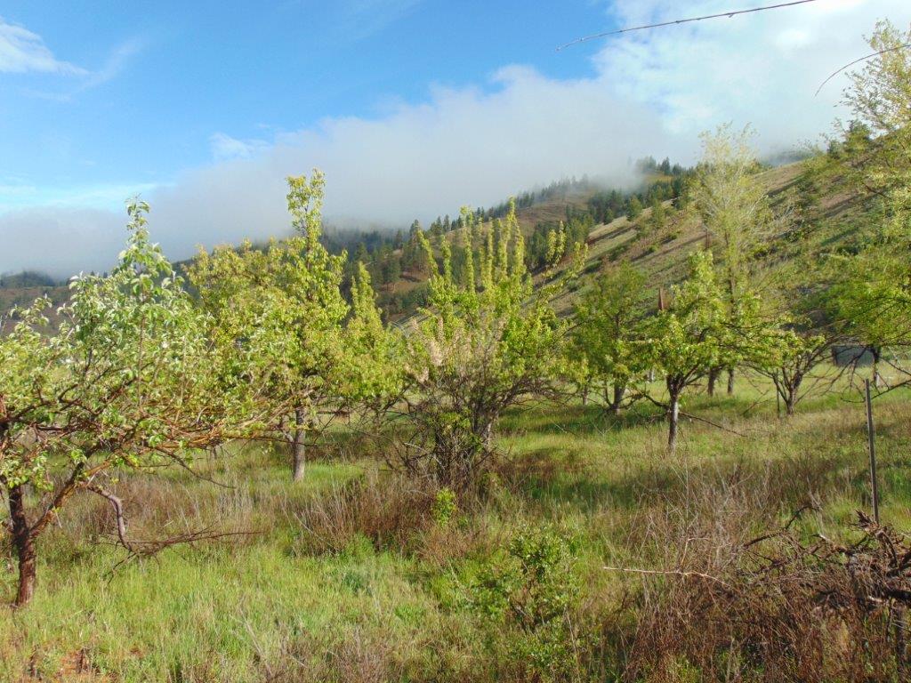 27235 Lazy Springs Road Property Photo 22