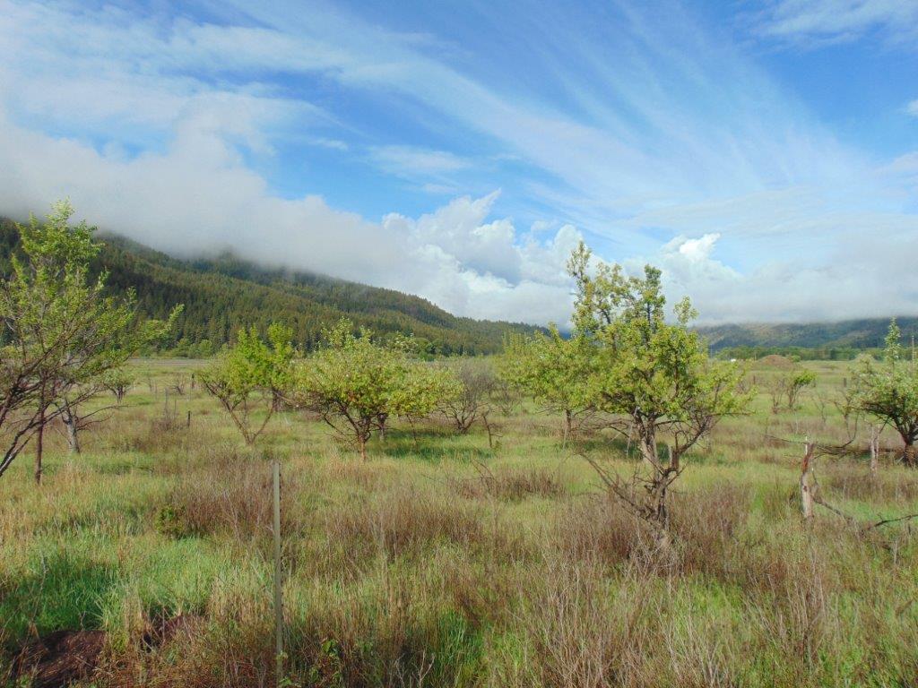 27235 Lazy Springs Road Property Photo 23