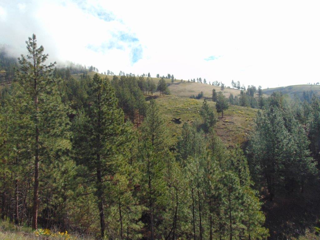27235 Lazy Springs Road Property Photo 24