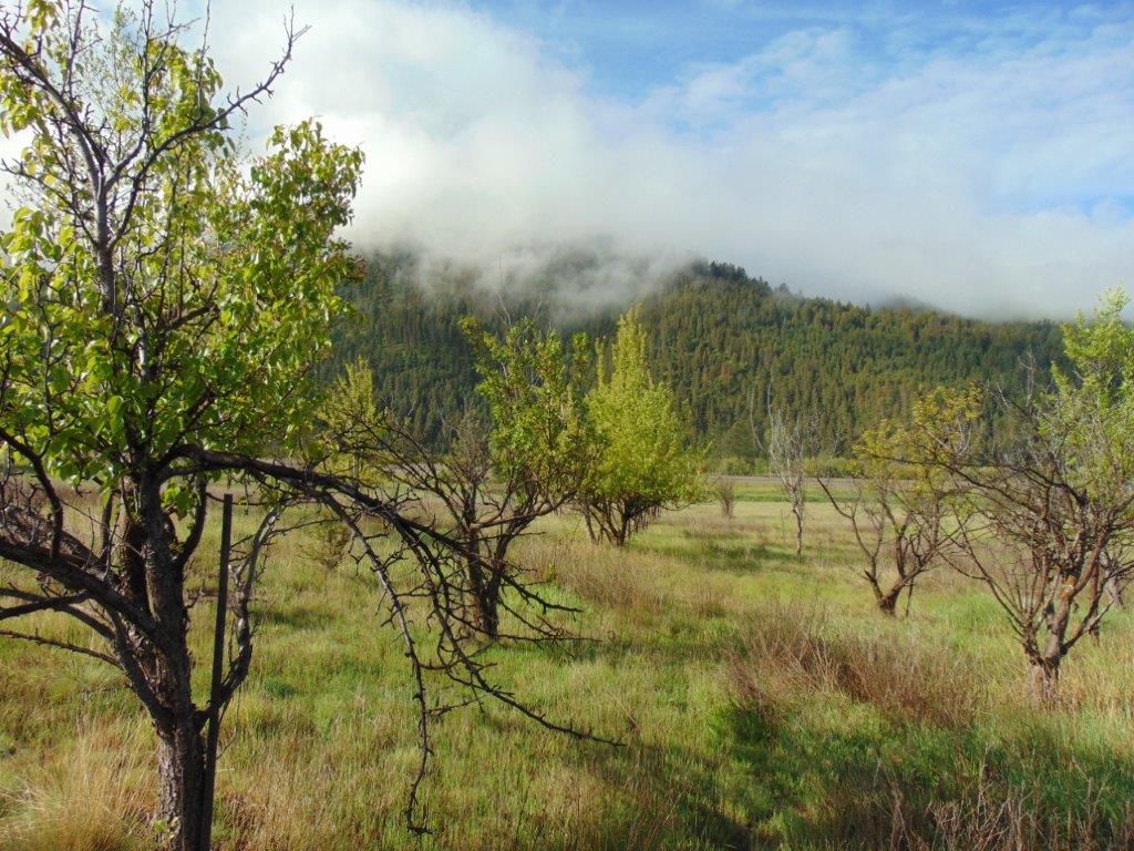 27235 Lazy Springs Road Property Photo 25