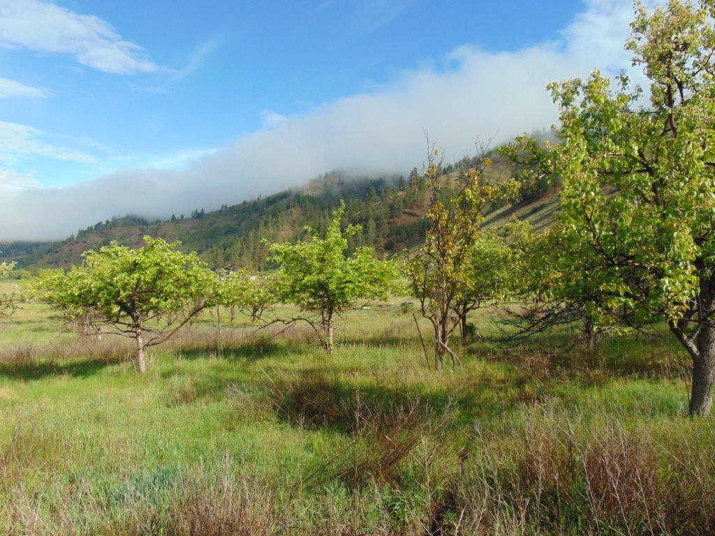 27235 Lazy Springs Road Property Photo 26