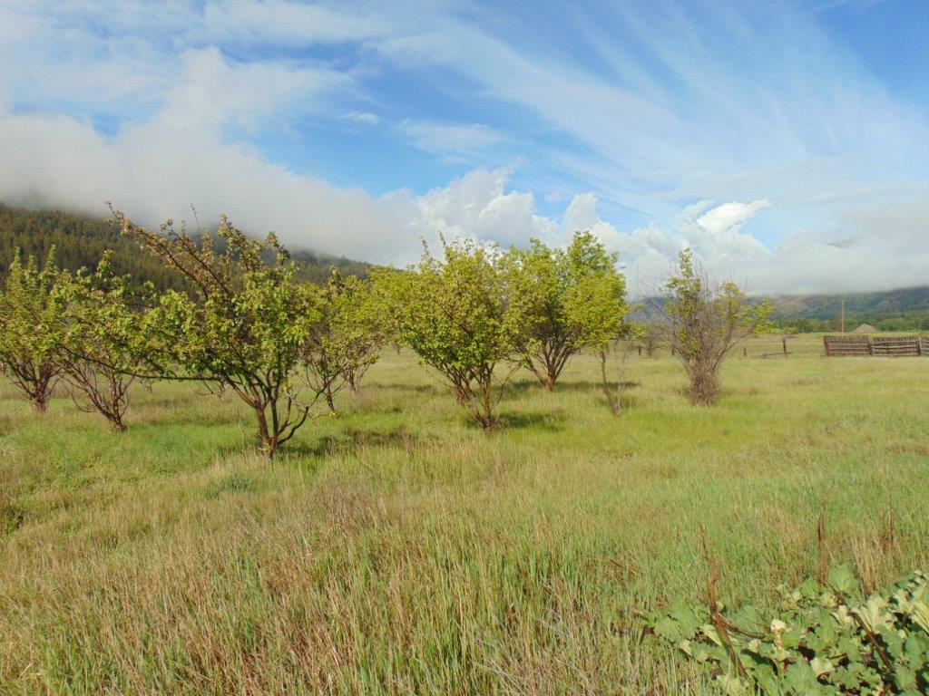 27235 Lazy Springs Road Property Photo 28