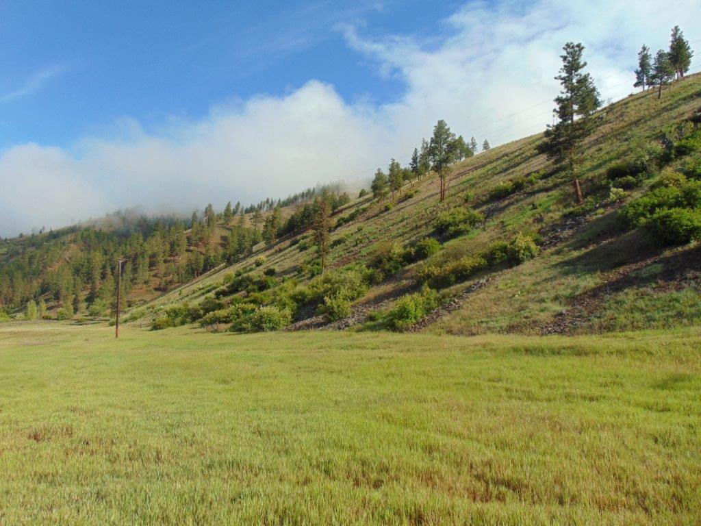27235 Lazy Springs Road Property Photo 31