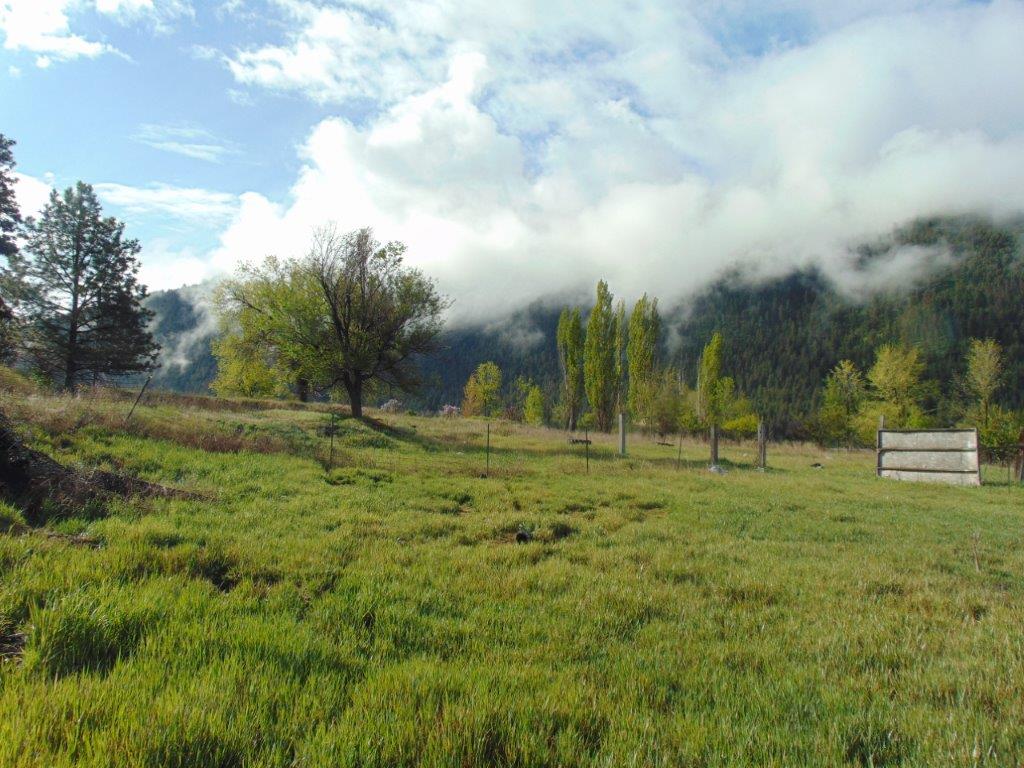 27235 Lazy Springs Road Property Photo 32