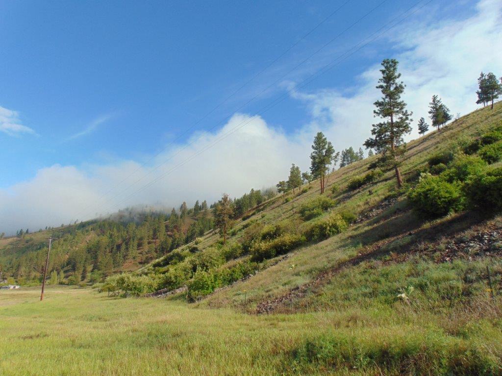 27235 Lazy Springs Road Property Photo 34