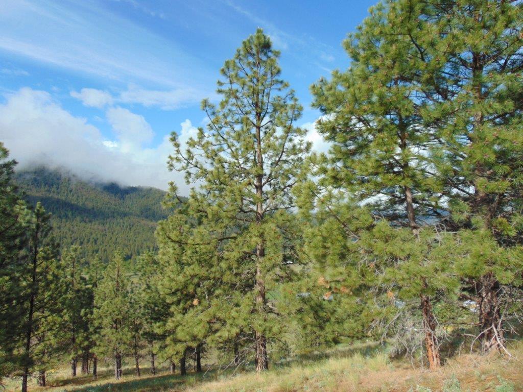 27235 Lazy Springs Road Property Photo 35