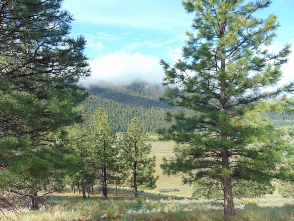 27235 Lazy Springs Road Property Photo 38