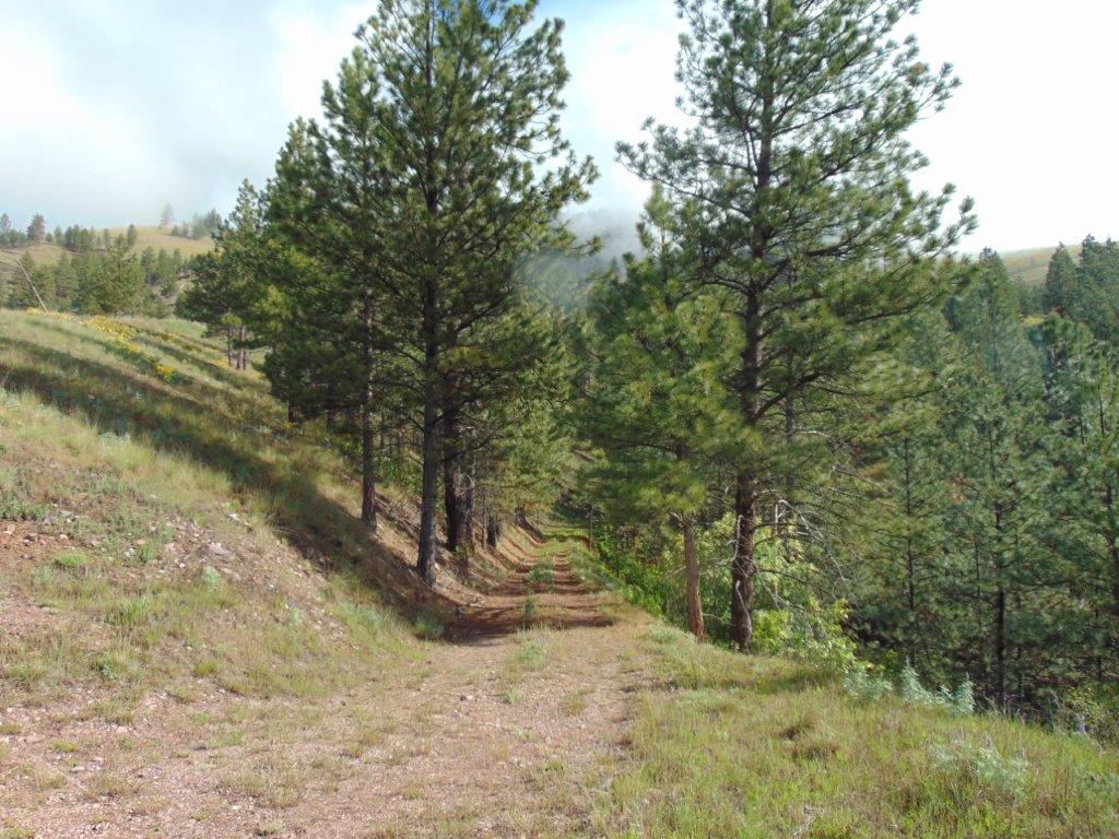 27235 Lazy Springs Road Property Photo 40