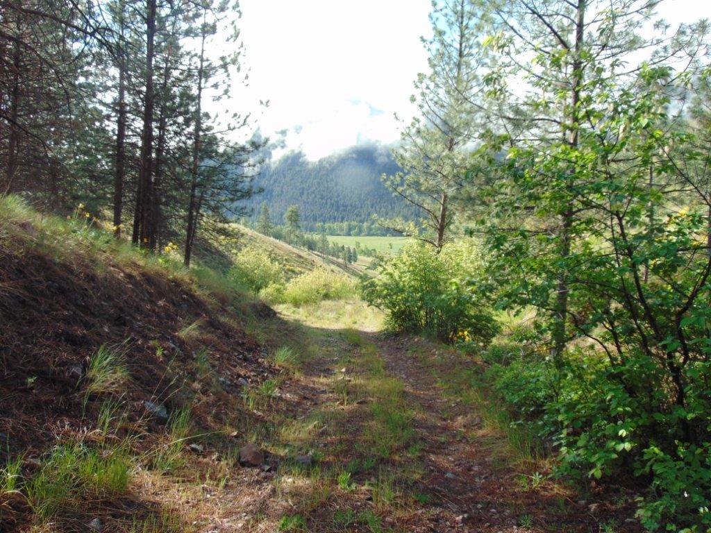 27235 Lazy Springs Road Property Photo 41